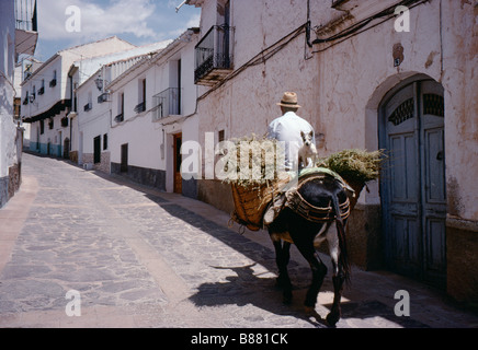 Un homme rides son mulet chargé avec du fourrage et son chien dans une rue de Alcaraz, Province d'Albacete, au sud-est de l'Espagne Banque D'Images