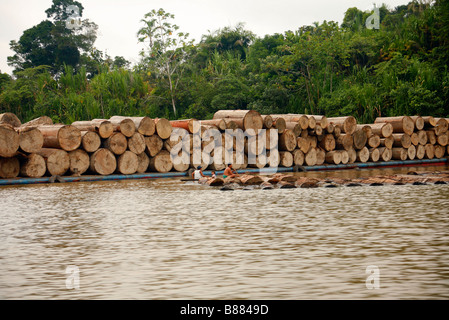 Barge chargée de bois sur la rivière amazonienne près d'Iquitos, Pérou Banque D'Images