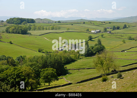 Scène près Staveley, Lake District Banque D'Images