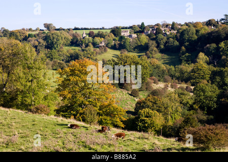 Le village de Cotswold Sapperton, Gloucestershire - vue de l'ensemble de la partie supérieure de la vallée à Daneway Frome Banque D'Images