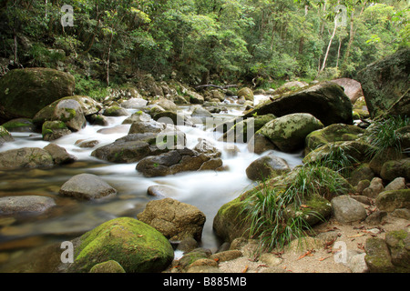 L'eau courante, Mossman Gorge, le nord du Queensland, Australie Banque D'Images