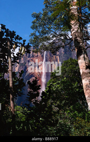 Amérique du Sud venezuela Parc national Canaima angel falls Banque D'Images