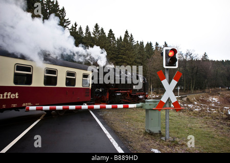 Locomotive à vapeur historique du chemin de fer à voie étroite du Harz traverse une route à trois Annen Hohne au Brocken, l'Est de l'Allemagne Banque D'Images