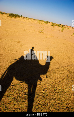 Des promenades touristiques en chameau Khuri desert Rajasthan en Inde Banque D'Images