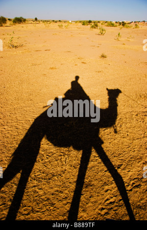 Des promenades touristiques en chameau Khuri desert Rajasthan en Inde Banque D'Images