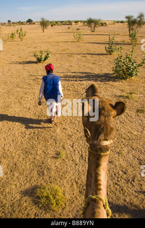 L'homme indien local mène camel en désert du Rajasthan Inde Khuri Banque D'Images