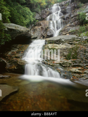 New York - Ramsay Cascades sur le volet du milieu peu Pigeon River dans le Great Smoky Mountains National Park. Banque D'Images