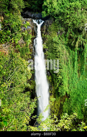 Chutes Makahiku Pipiwai Trail dans le district de Kipahulu de Haleakala National Park Hana Maui Coast Florida Banque D'Images