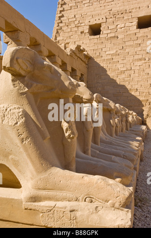 Rangée de Sphinx avec ram têtes à le grand temple de Karnak rive Est du Nil à Louxor en Haute Egypte Moyen Orient Banque D'Images