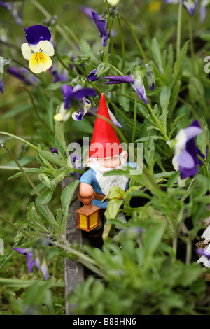 Sous gnome de l'alto dans le bac de graines jardin Banque D'Images