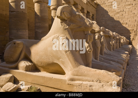 Rangée de Sphinx avec ram têtes à le grand temple de Karnak rive Est du Nil à Louxor en Haute Egypte Moyen Orient Banque D'Images