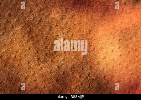 Belle image de l'ancien fond de cuir en lambeaux Banque D'Images