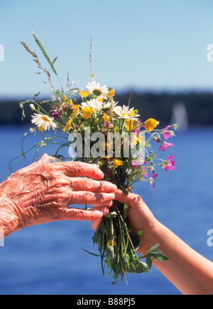 Petit-enfant offrant bouquet de fleurs sauvages à grand-mère Banque D'Images