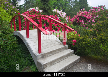 Seattle, WA : parc de Kubota Pont lune entourée de fleurs de rhododendron arches sur l'étang sur Mapes creek Banque D'Images