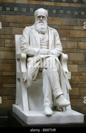 Une statue de Charles Darwin - qui a découvert la sélection naturelle - siège au Natural History Museum de Londres. Banque D'Images