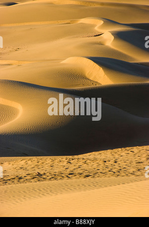 Khuri desert Rajasthan en Inde Banque D'Images