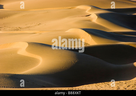 Khuri desert Rajasthan en Inde Banque D'Images