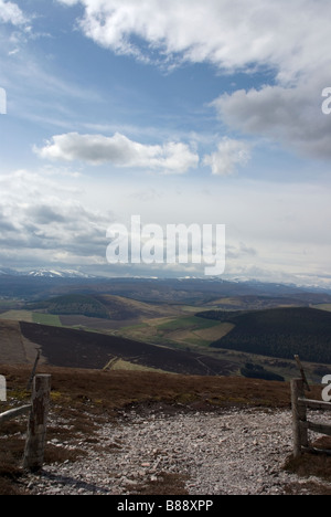 Vue de les Cairngorms de Carn Daimh Glenlivet, Estate, Banffshire, Ecosse Banque D'Images