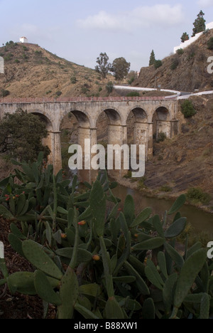 Cactus et viaduc, Mértola, Alentejo, Portugal Banque D'Images