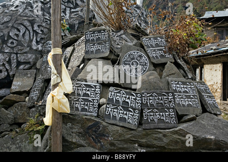 Une foi vivante des mantras ou syllabes sacrées gravées dans des pierres au Népal Banque D'Images