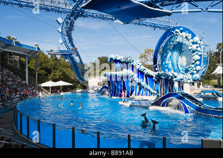 Spectacle de dauphins et baleines à Sea World, Orlando, Floride, USA Central Banque D'Images