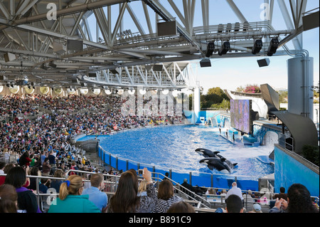 Croire dans le Spectacle Shamu Stadium, Sea World, Orlando, Floride, USA Central Banque D'Images