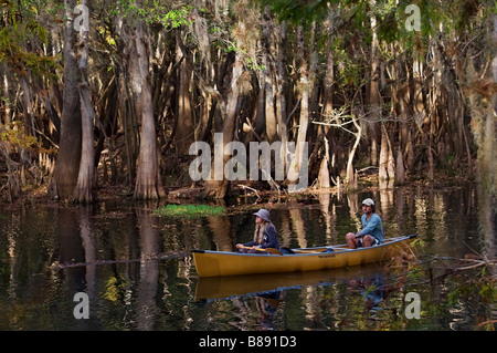 Aux canoteurs sur spring run à rivière Suwannee à Manatee Springs State Park, North Florida Banque D'Images