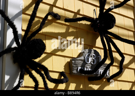 Les grandes araignées sur la fourrure à l'extérieur d'une maison comme décoration halloween Banque D'Images