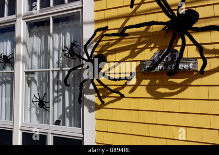 Les grandes araignées sur la fourrure à l'extérieur d'une maison comme décoration halloween Banque D'Images