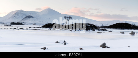 Lonely tree sur la petite île au milieu du lac gelé, des amoncellements de neige et de montagnes Banque D'Images