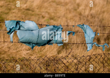 Un fragment de tissu bleu suspendu à une clôture en fil barbelé. Banque D'Images