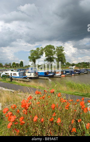 Poppys et narrowboats au St Mary s Marina à Rufford Lancashire Banque D'Images