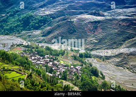 L'Asie, Chine, Province du Yunnan, Yuanyang County. Village inondé et Duo Yi Shu rizières en terrasses. Banque D'Images