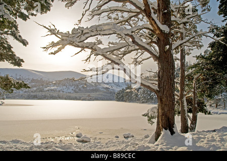 Les montagnes de Cairngorm congelé Loch an Eilein dans les contreforts de la neige couverts Parc National. 2107 SCO Banque D'Images