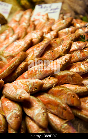 Rouget frais - Marché aux poissons du Rialto de Venise Banque D'Images