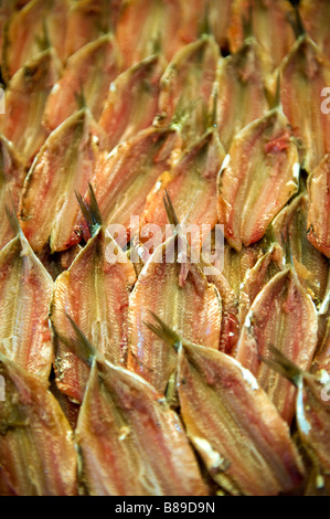 Anchois frais - Marché aux poissons du Rialto de Venise Banque D'Images