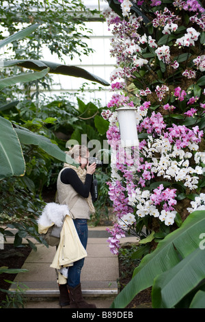 250 anniversaire de Kew Gardens.à l'intérieur de l'hôtel Princess of Wales conservatory présentant des plantes tropicales et des orchidées Banque D'Images