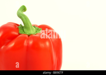 Un gros plan d'un poivron rouge ou capsicum sur fond blanc Banque D'Images