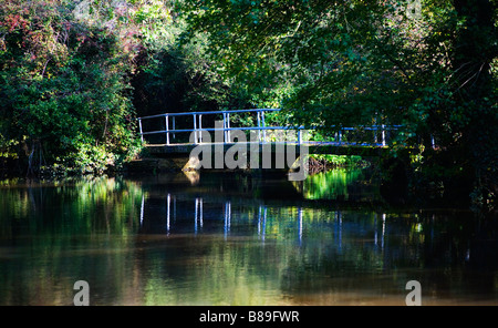 Une passerelle avec garde-corps bleu sur une rivière. Frontières du Dorset et du Hampshire. UK. Banque D'Images