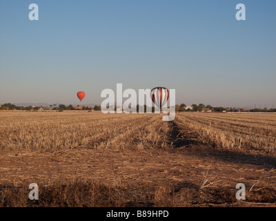 Ballons à air chaud l'atterrissage dans un champ de maïs Banque D'Images