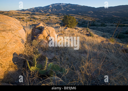 Montagnes Rincon Col Reddington Tucson Arizona Banque D'Images