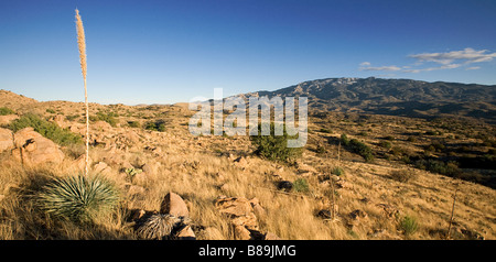 Montagnes Rincon Col Reddington Tucson Arizona Banque D'Images