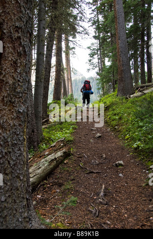 Homme célibataire backpacker sur bowen baker Gulch dans le sentier d'été jamais désert colorado Banque D'Images