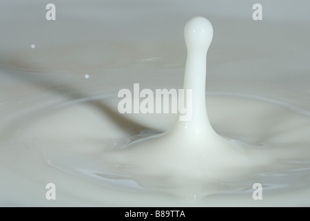 Une photo d'une goutte d'eau blanc Banque D'Images