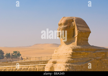 Sphinx et des pyramides de Gizeh Le Caire Banque D'Images