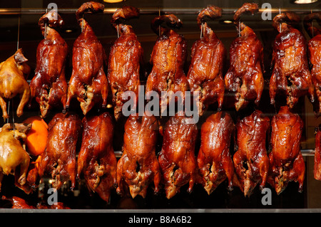 Croustillant de canard frit dans une vitrine dans le quartier chinois à Londres Banque D'Images