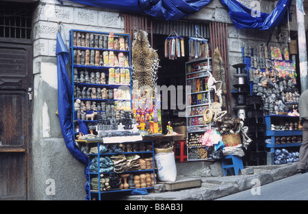 Peau de jaguar (Panthera onca) accrochée à côté de l'entrée du magasin dans le marché des sorcières / Mercado de las Brujas, la Paz, Bolivie Banque D'Images