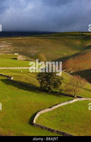 Les murs en pierre et granges nr Kettlewell, Wharfedale, Yorkshire Dales National Park, England, UK Banque D'Images