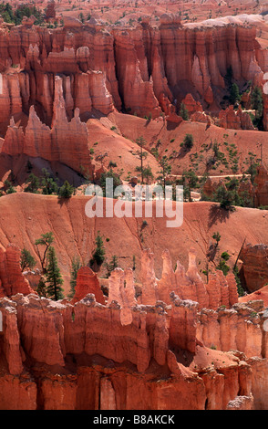 États-Unis, Utah, parc national de Bryce Canyon, amphithéâtre de Bryce Banque D'Images