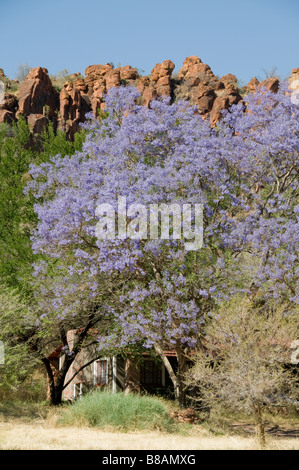 Waterburg, Wilderness Lodge, la Namibie, l'Afrique de l'Ouest Banque D'Images